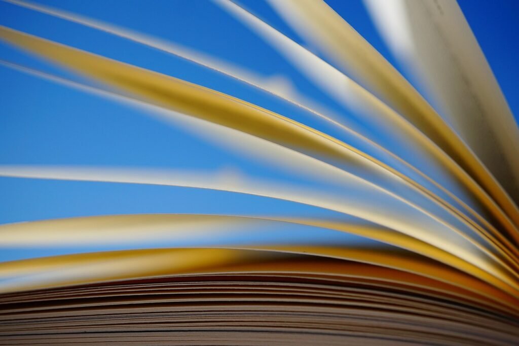 a book, pages, scroll, paper, knowledge, read, training, novel, literature, close up, read out, heaven, blue, voltage, books, letters, words, sets, clever, educated, school, story, reading competition, teacher, paper, knowledge, training, books, books, books, words, school, school, school, school, story, story, story, story, story, teacher, teacher, teacher, teacher